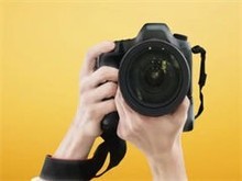 北京寵物攝影網(wǎng)站設(shè)計(jì) 創(chuàng)意與專業(yè)的完美融合